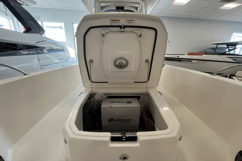 Slide: The Image of Boston Whaler 250 Dauntless 2025 - 18