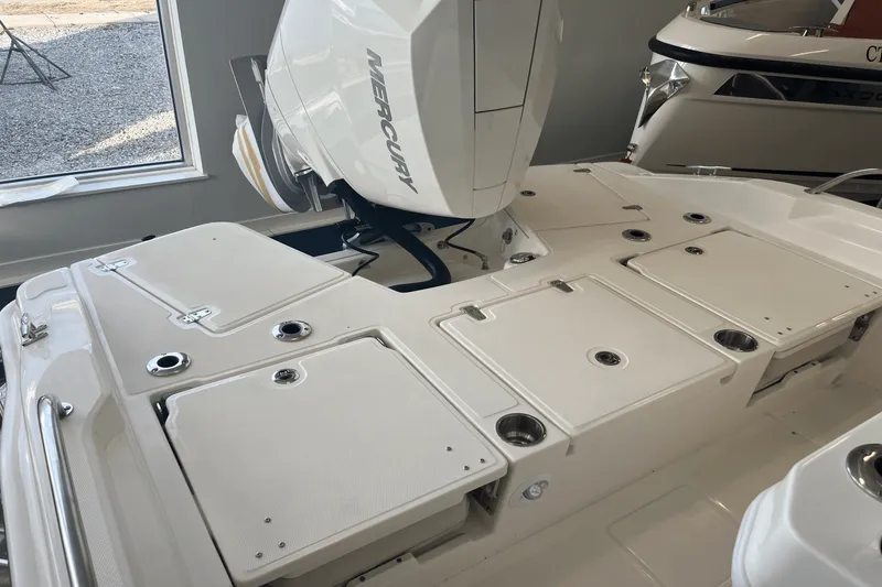 Slide: The Image of Boston Whaler 250 Dauntless 2025 - 2