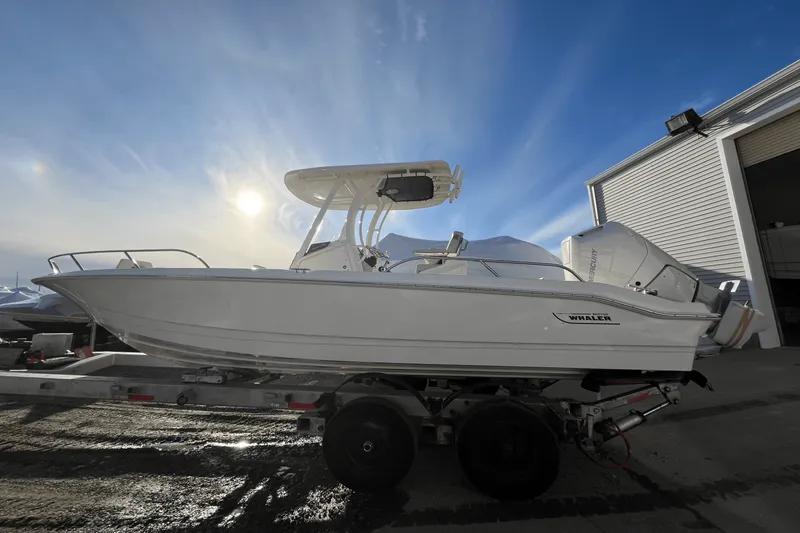 Slide: The Image of Boston Whaler 250 Dauntless 2025 - 20