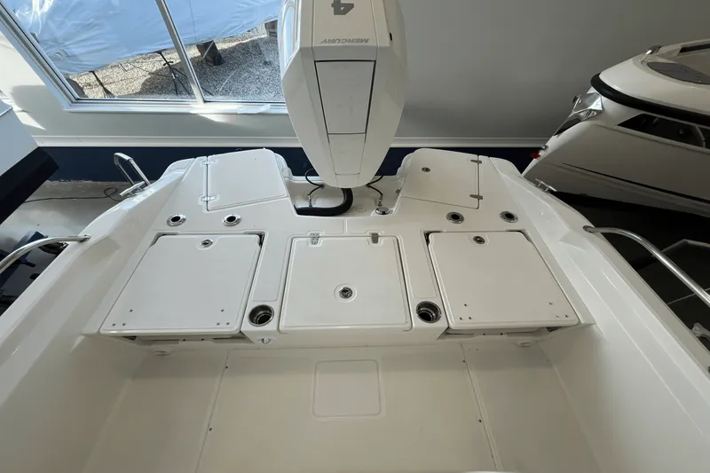 Slide: The Image of Boston Whaler 250 Dauntless 2025 - 4