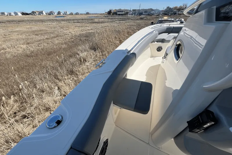 Slide: The Image of Boston Whaler 250 Outrage 2025 - 14