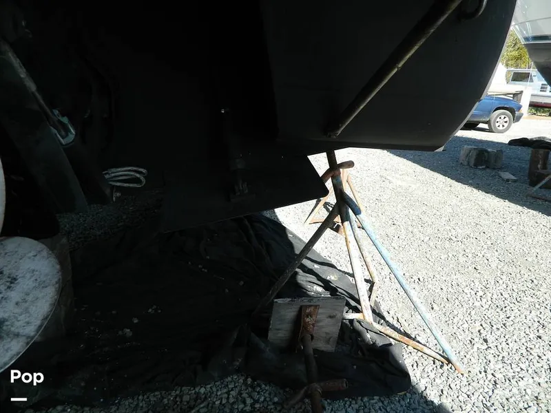 Slide: The Image of Painted Bottom - 8137140