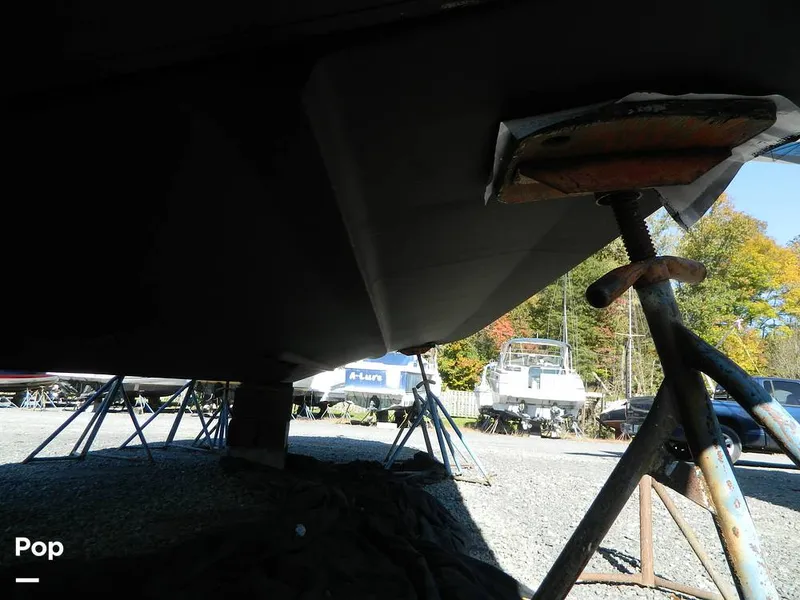 Slide: The Image of Painted Bottom - 8137239