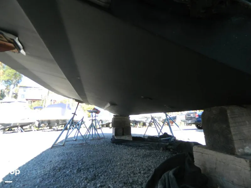 Slide: The Image of Painted Bottom - 8137242