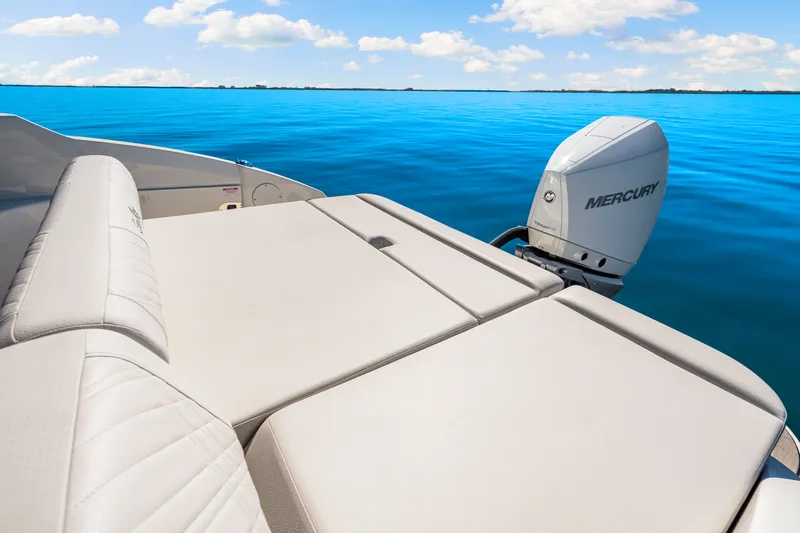 Slide: The Image of Sea Ray SDX 250 Outboard 2025 - 18