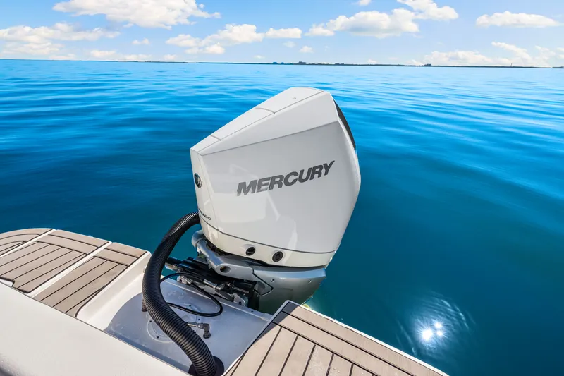 Slide: The Image of Sea Ray SDX 250 Outboard 2025 - 19
