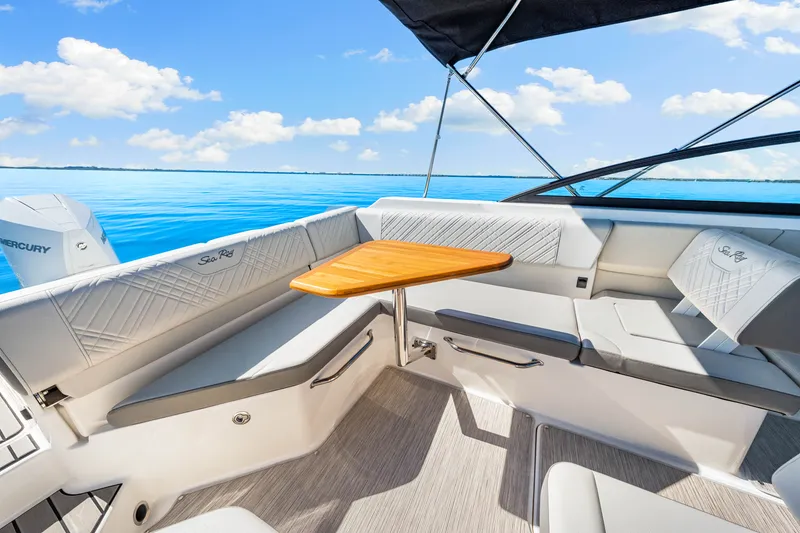 Slide: The Image of Sea Ray SDX 250 Outboard 2025 - 22