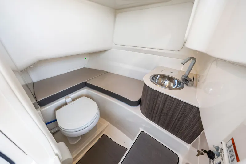 Slide: The Image of Sea Ray SDX 250 Outboard 2025 - 36