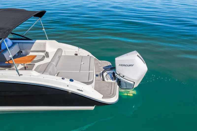 Slide: The Image of Sea Ray SDX 250 Outboard 2025 - 6
