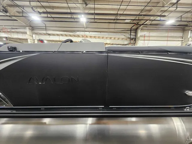 Slide: The Image of Avalon 2185 25 LSZ QLS 2026 - 3