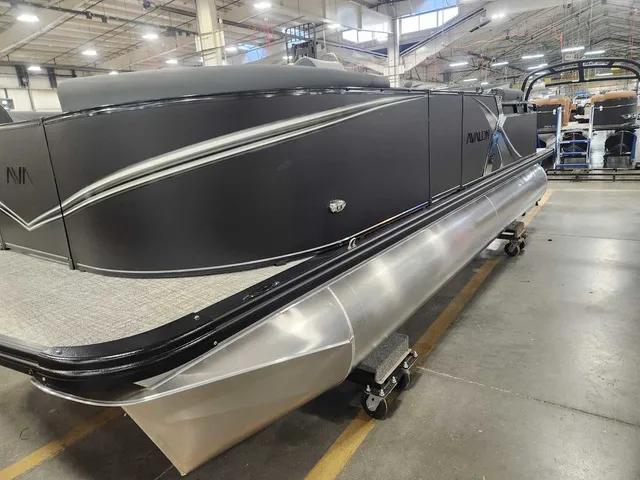 Slide: The Image of Avalon 2185 25 LSZ QLS 2026 - 4