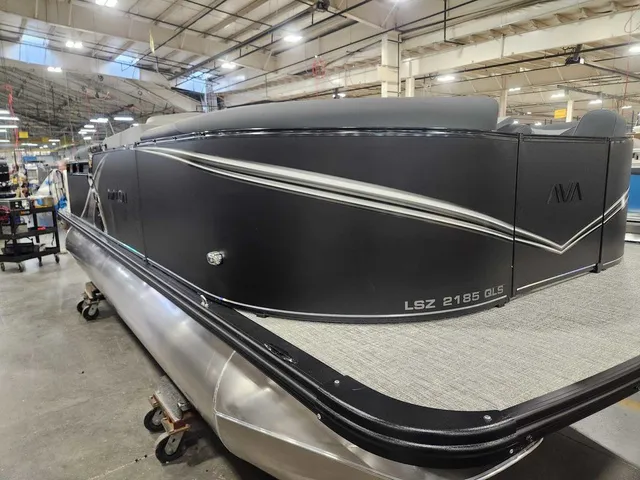 Slide: The Image of Avalon 2185 25 LSZ QLS 2026 - 5