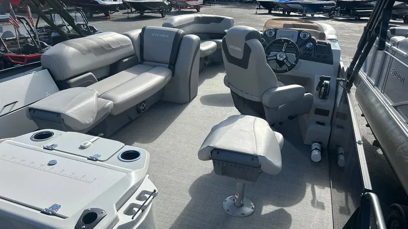Slide: The Image of Sylvan L1 Party Fish 2024 - 6