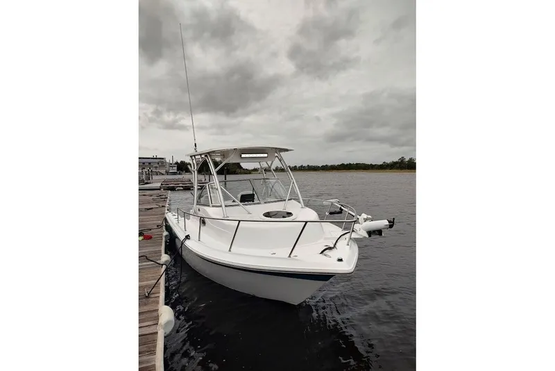 Slide: The Image of Sea Fox 216 Walk Around 2012 - 3