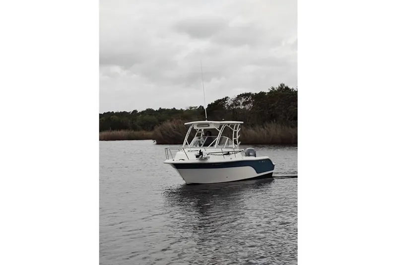 Slide: The Image of Sea Fox 216 Walk Around 2012 - 1