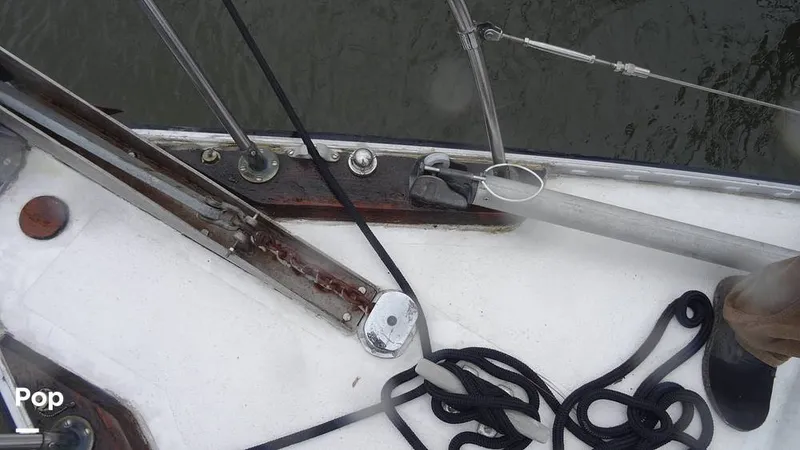 Slide: The Image of Whisker Pole - 8400578