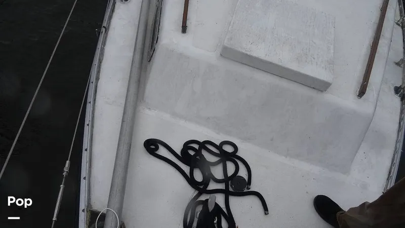 Slide: The Image of Whisker Pole - 8400579