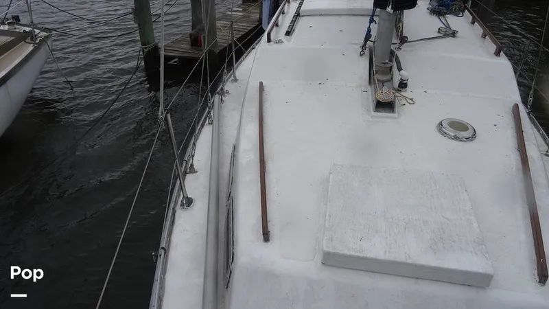 Slide: The Image of Whisker Pole - 8400580