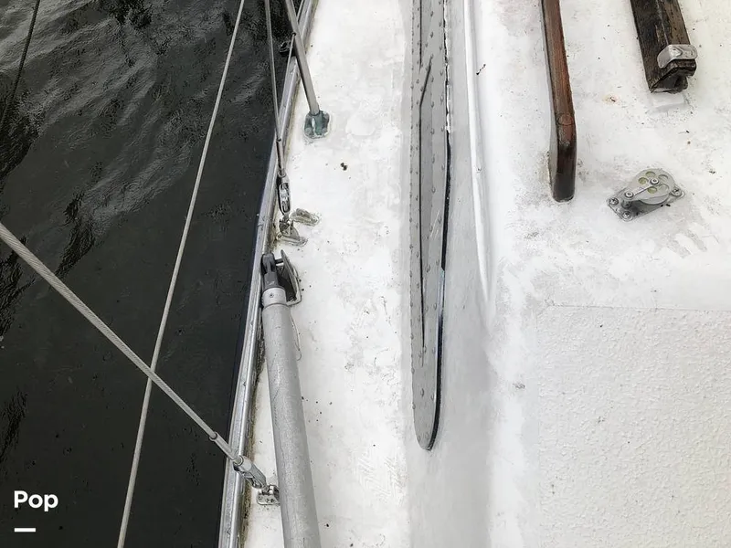 Slide: The Image of Whisker Pole - 8400589