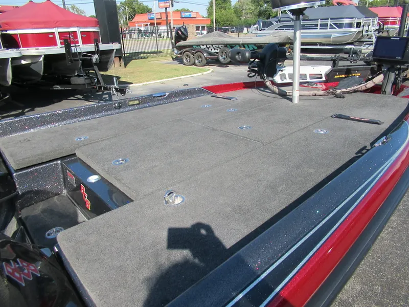 Slide: The Image of Bass Cat Cougar FTD 2014 - 7