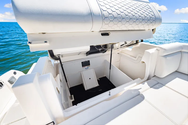 Slide: The Image of Sea Ray SDX 290 Outboard 2025 - 38