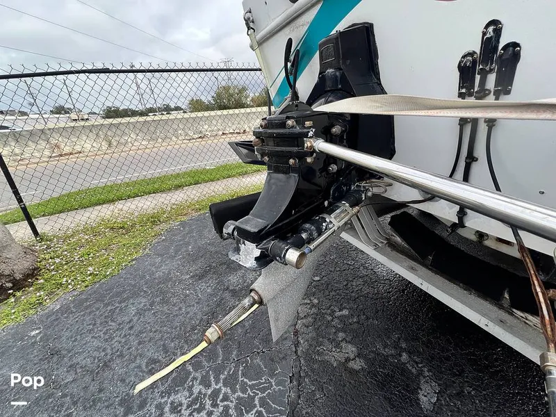 Slide: The Image of Cougar US-1-38' 1989 - 14934045