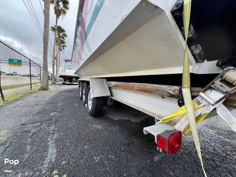 Slide: The Image of Cougar US-1-38' 1989 - 14934051