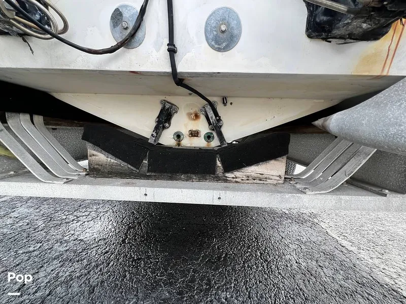 Slide: The Image of Cougar US-1-38' 1989 - 14934052