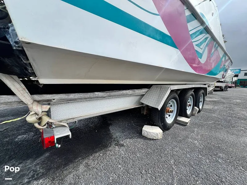 Slide: The Image of Cougar US-1-38' 1989 - 14934053