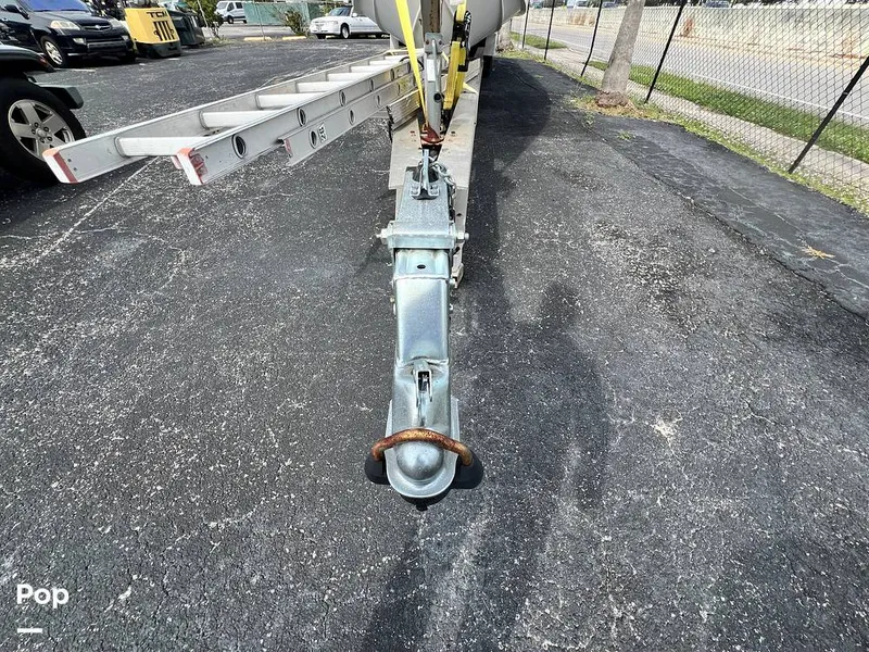 Slide: The Image of Cougar US-1-38' 1989 - 14934056