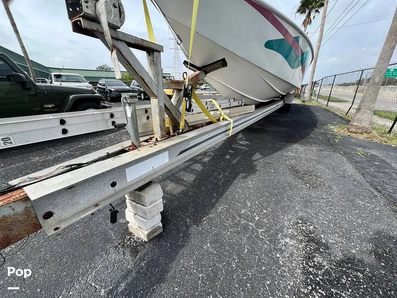 Slide: The Image of Cougar US-1-38' 1989 - 14934058