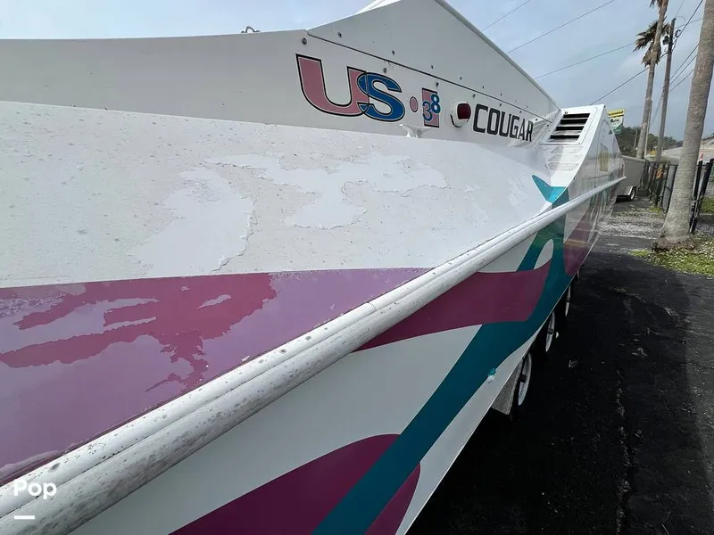 Slide: The Image of Cougar US-1-38' 1989 - 14934081