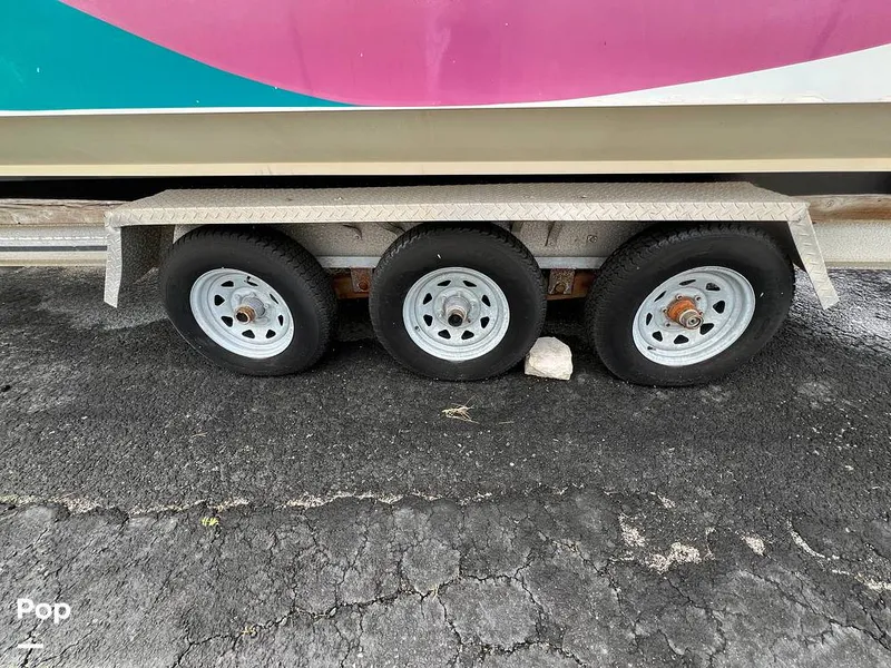 Slide: The Image of Cougar US-1-38' 1989 - 14934082