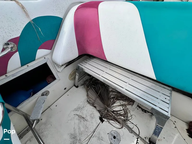 Slide: The Image of Cougar US-1-38' 1989 - 14934085