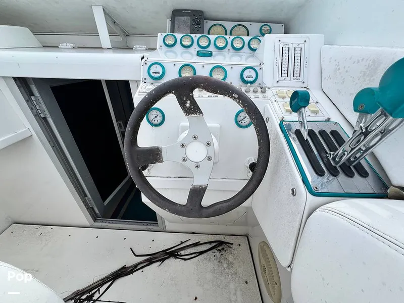 Slide: The Image of Cougar US-1-38' 1989 - 14934089