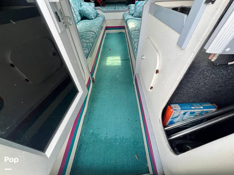 Slide: The Image of Cougar US-1-38' 1989 - 14934096