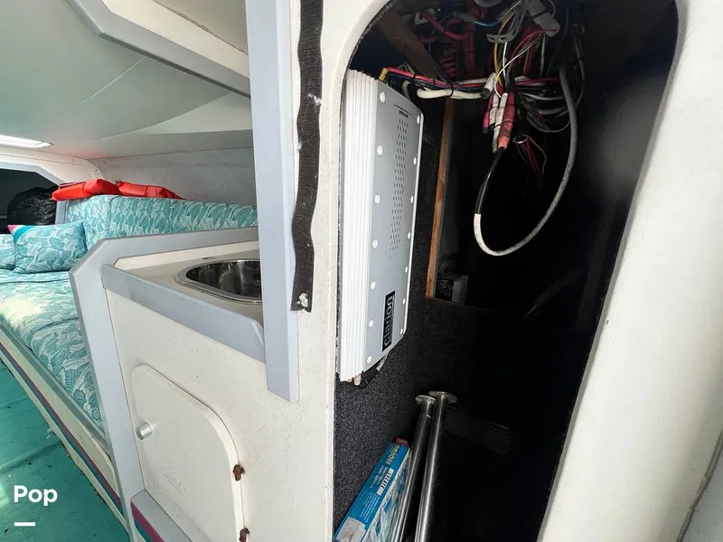 Slide: The Image of Cougar US-1-38' 1989 - 14934097