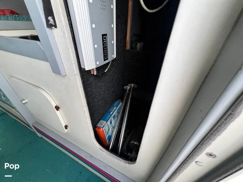 Slide: The Image of Cougar US-1-38' 1989 - 14934098