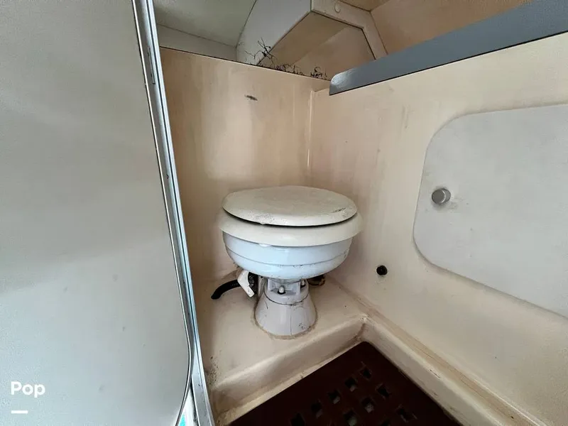 Slide: The Image of Cougar US-1-38' 1989 - 14934102