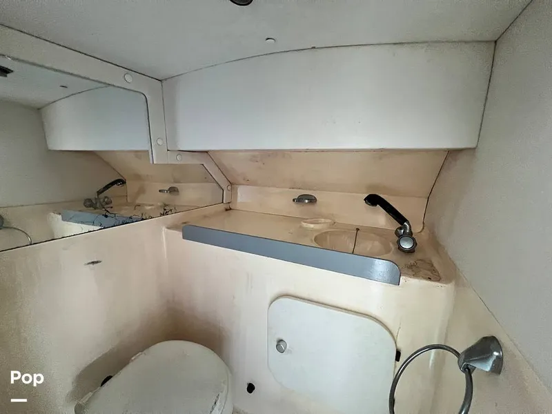 Slide: The Image of Cougar US-1-38' 1989 - 14934104