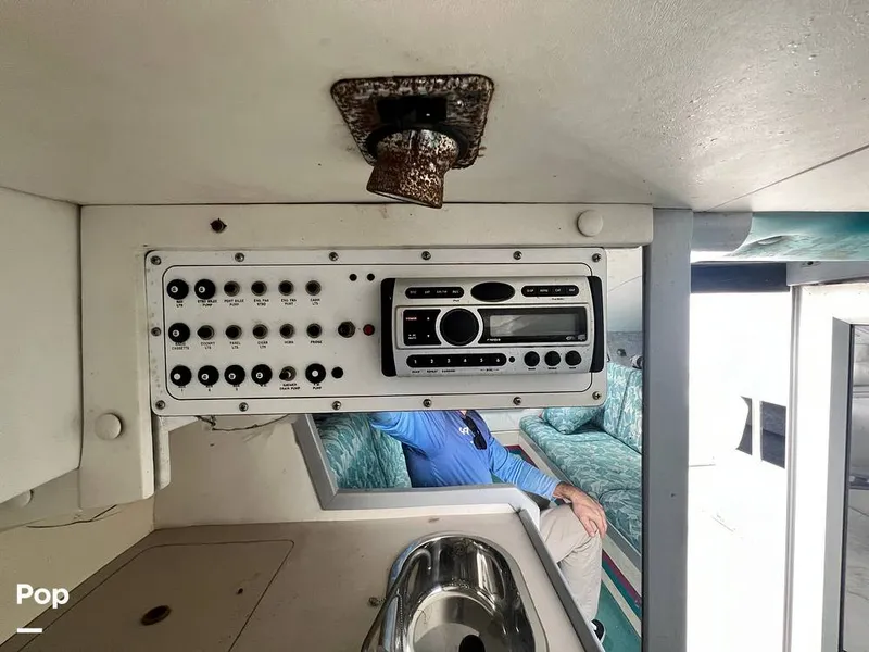 Slide: The Image of Cougar US-1-38' 1989 - 14934105