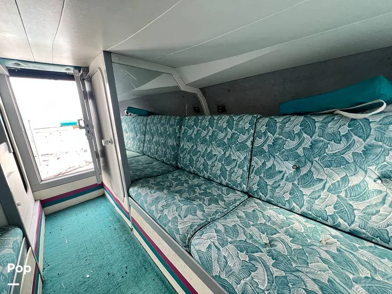 Slide: The Image of Cougar US-1-38' 1989 - 14934107