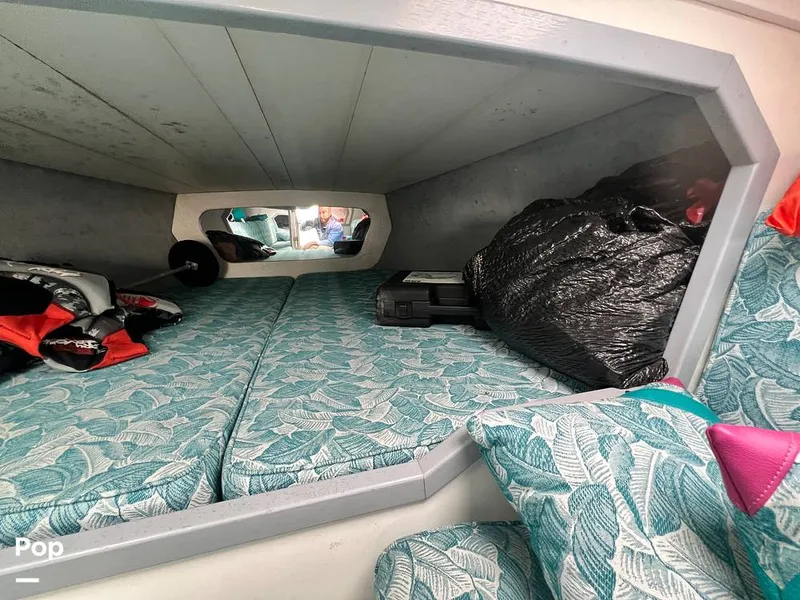 Slide: The Image of Cougar US-1-38' 1989 - 14934108