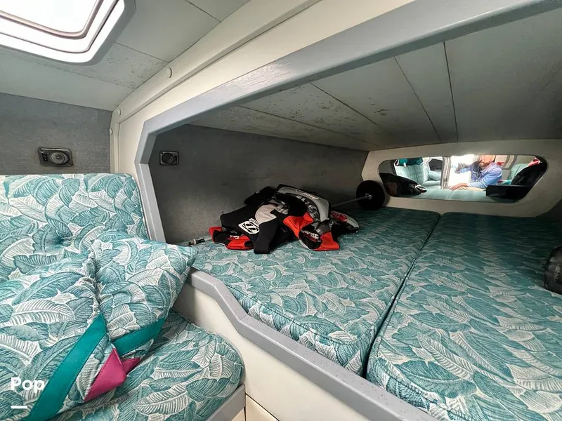 Slide: The Image of Cougar US-1-38' 1989 - 14934109