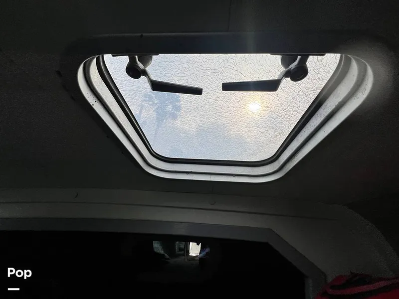 Slide: The Image of Cougar US-1-38' 1989 - 14934110