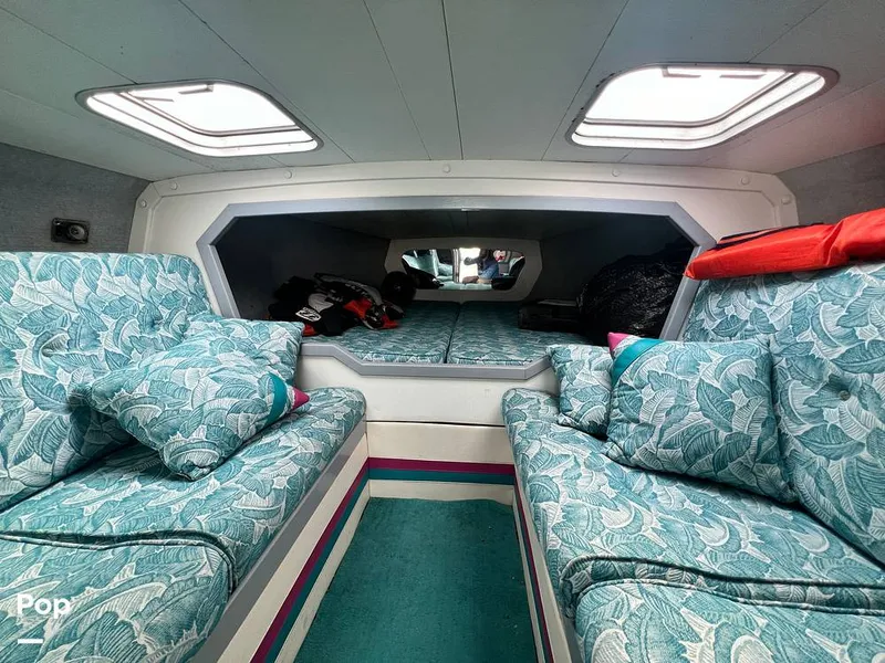 Slide: The Image of Cougar US-1-38' 1989 - 14934038