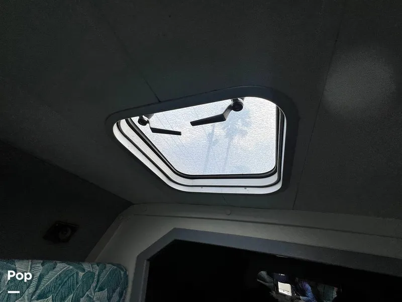 Slide: The Image of Cougar US-1-38' 1989 - 14934111