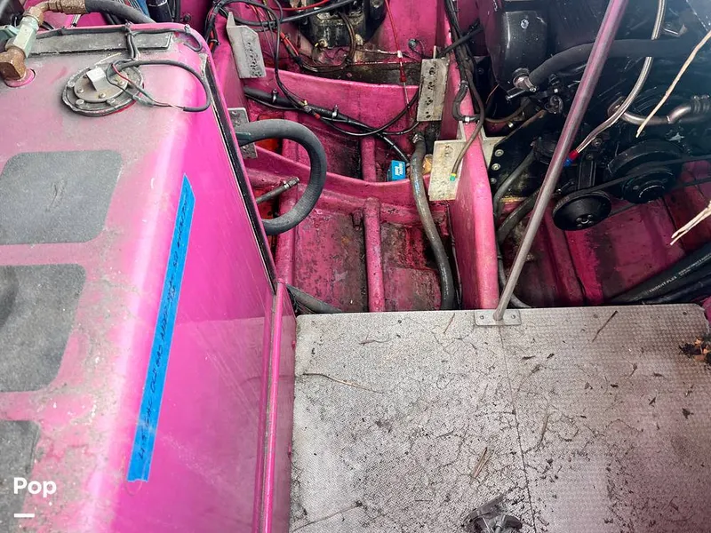 Slide: The Image of Cougar US-1-38' 1989 - 14934112