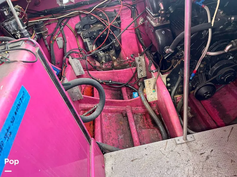 Slide: The Image of Cougar US-1-38' 1989 - 14934113