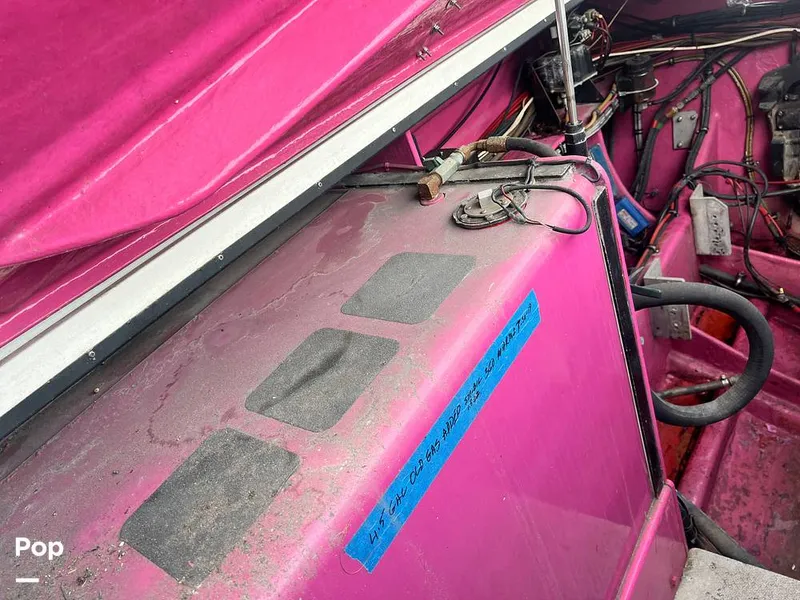 Slide: The Image of Cougar US-1-38' 1989 - 14934114